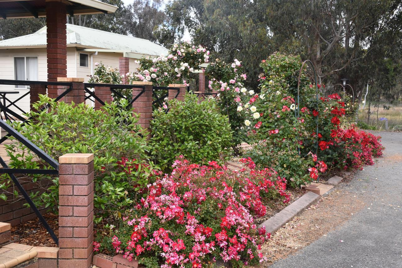 Mount Barker Valley Views Motel & Chalets, Western Australia Экстерьер фото