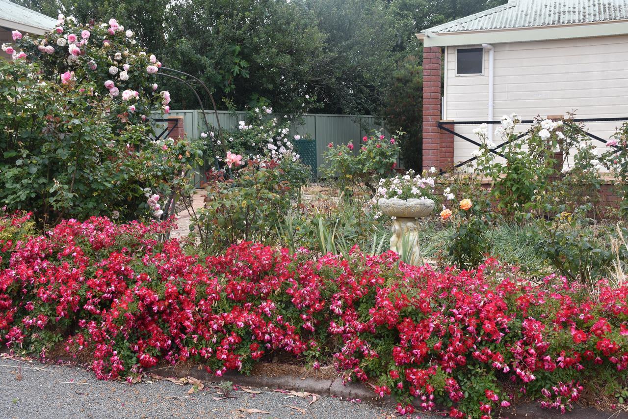 Mount Barker Valley Views Motel & Chalets, Western Australia Экстерьер фото